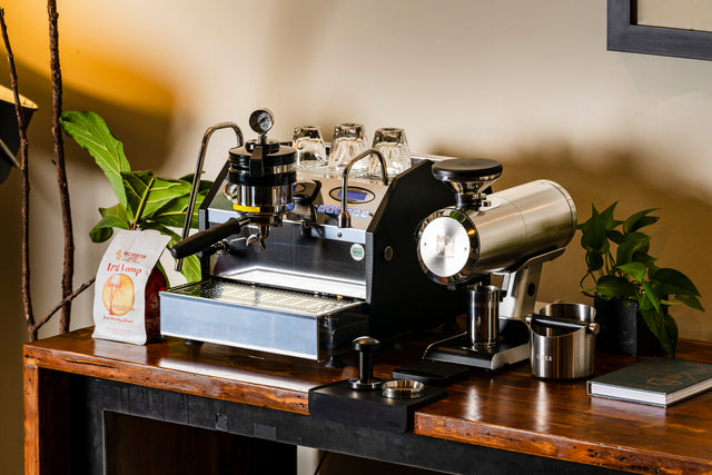 Mazzer Philos Single Dose Coffee Grinder